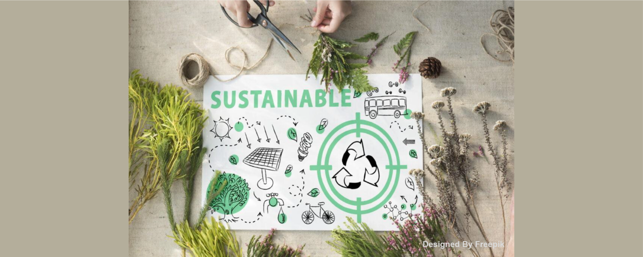 Five Steps In My Journey To Sustainable Living