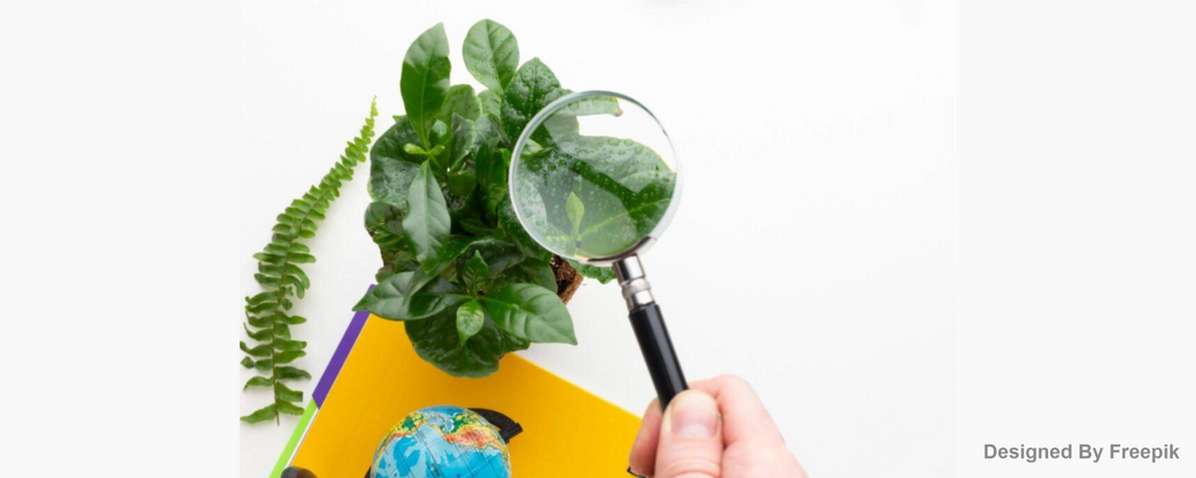 How To Identify Sustainable Products?