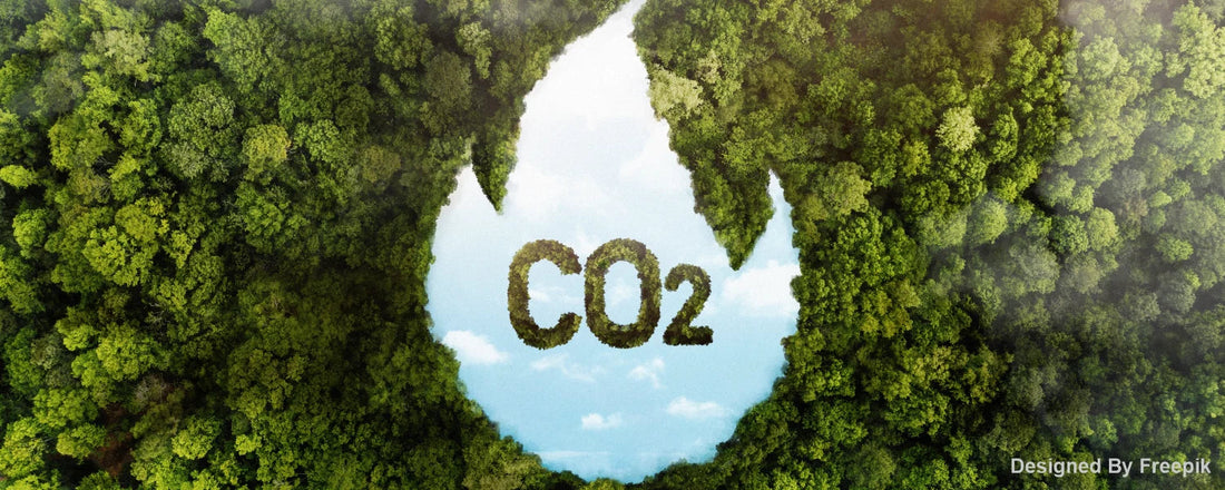 What is carbon footprint and what gets captured under the term?