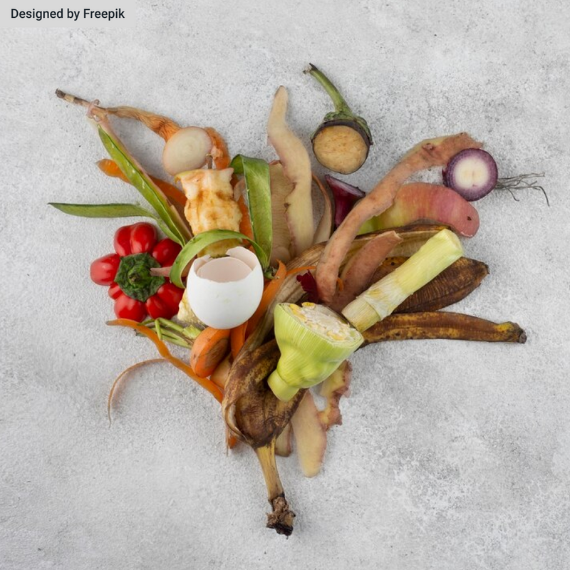 Course: Unlock Black Gold Reduce waste and enrich earth